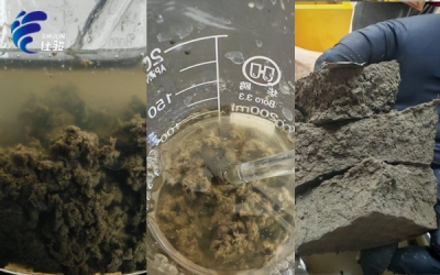 污泥增效劑:讓污泥處理變得更簡單-青島仕駿